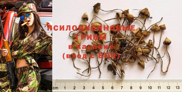 спайс Новозыбков