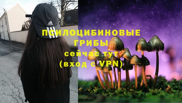 мескалин Нея