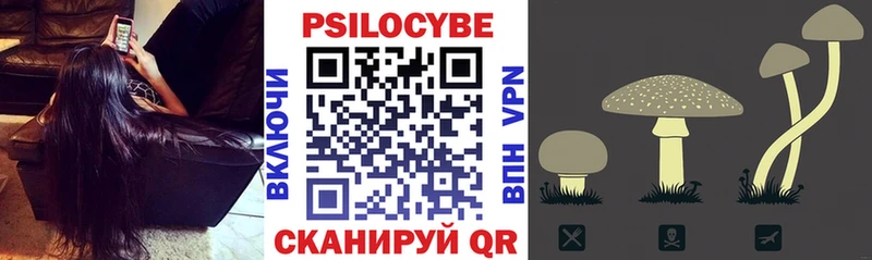 Галлюциногенные грибы мицелий  Купить  Балашов 